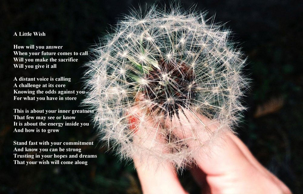 dandelion wishes poem